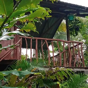 https://sigiri-panaromic-tree-house.kandyhotelsnow.com