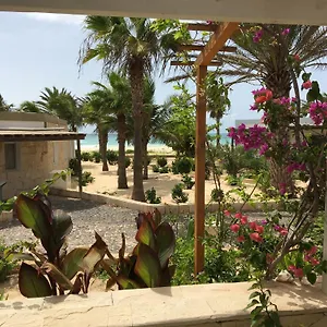 https://beach-villa-am-praia-de-chaves.cape-verdehotels.com